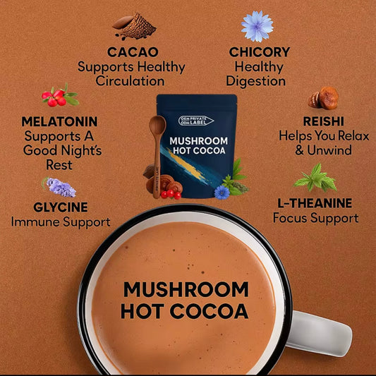 Mushroom Hot Cocoa